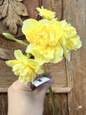 Narcyz-kwiat sztuczny, kolor żółty pastelowy