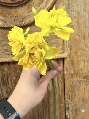Narcyz-kwiat sztuczny, kolor żółty słoneczny