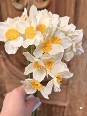 Narcyz -kpl 6 szt.kolor biały