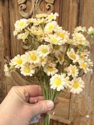 Rumianki-bukiecik 6 szt